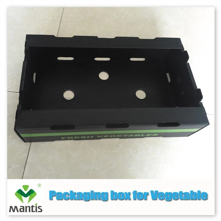 vegetable packaging plastic box manufacturer