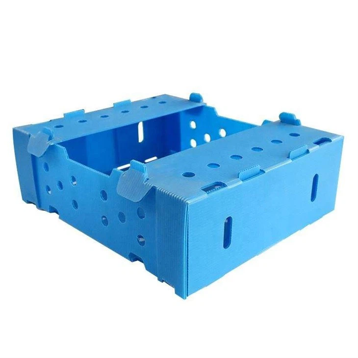 PP Reusable Corrugated Plastic Boxes OEM/ODM